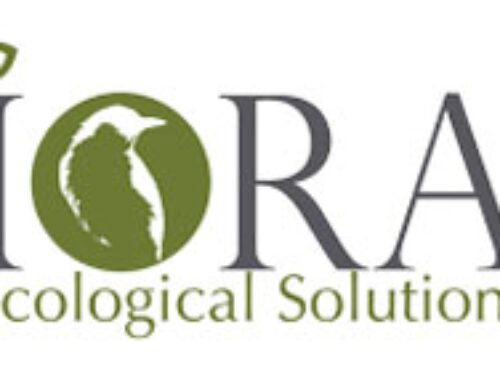IORA Ecological Solutions